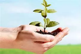 Environmental Committee